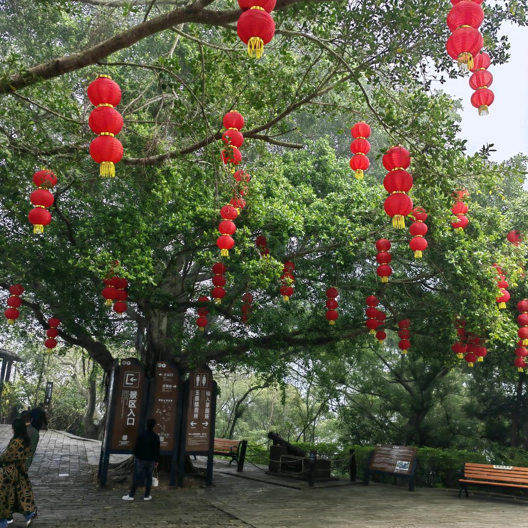 幸福快乐每一天