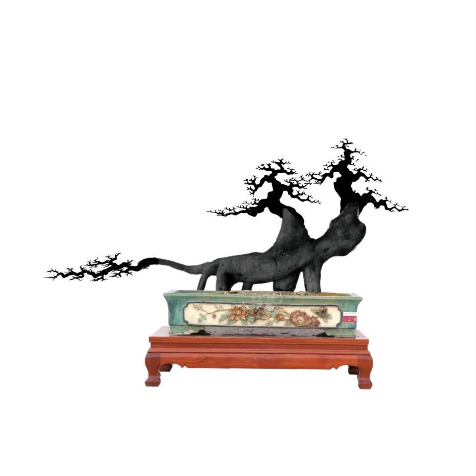 普照花卉
