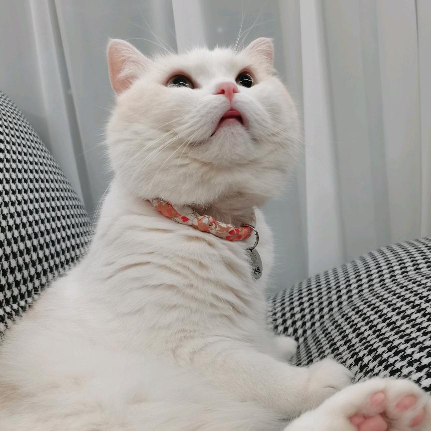 看到我请叫我去睡觉