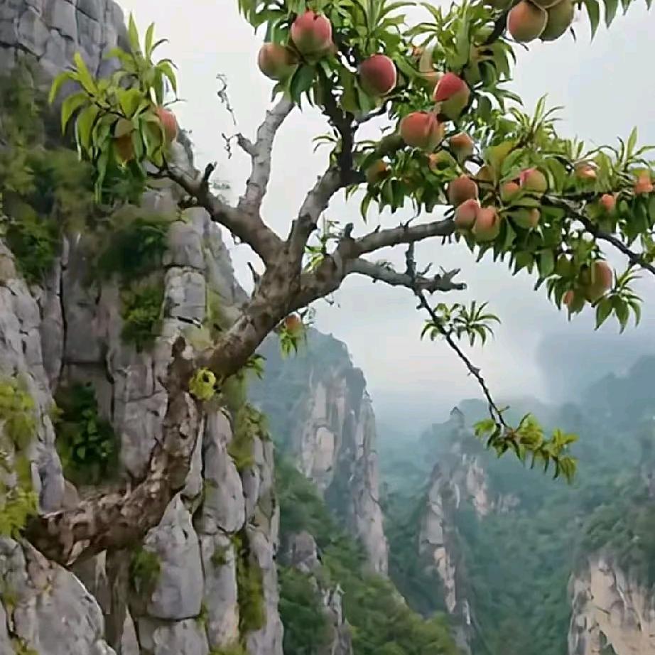 温柔哥