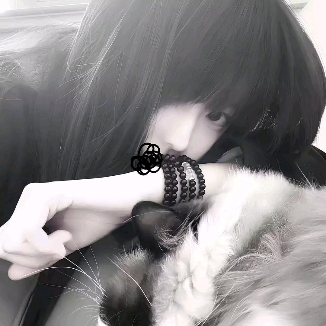 呆仔兔