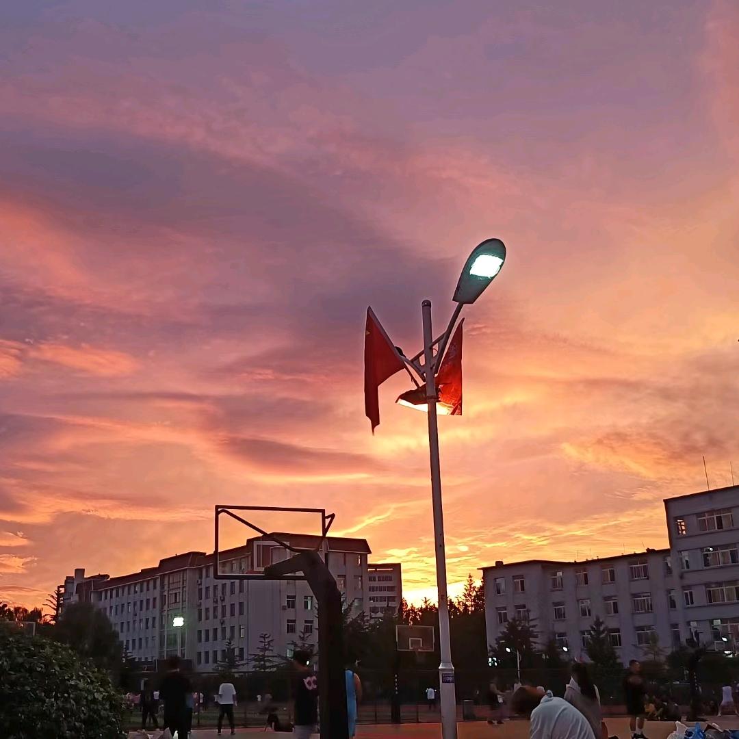 不吃饭真不行🍣