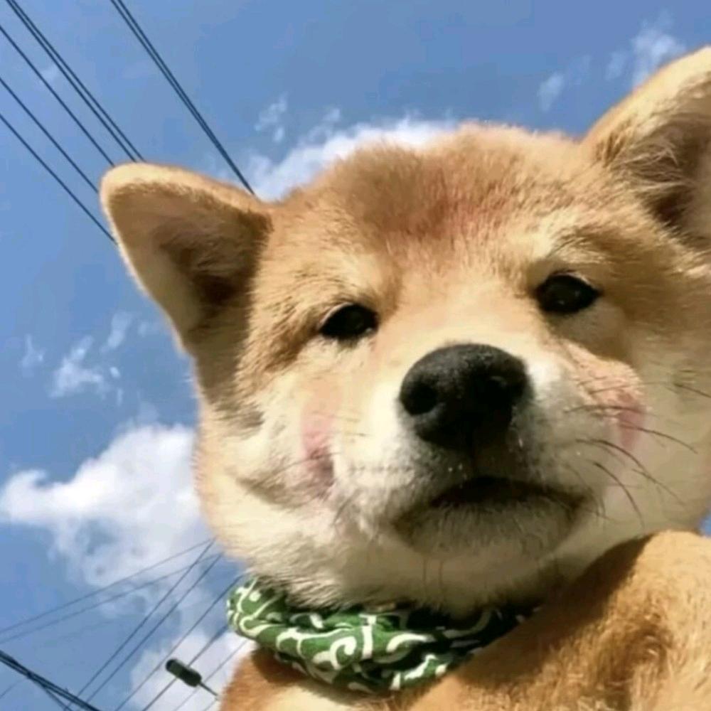 墨♥