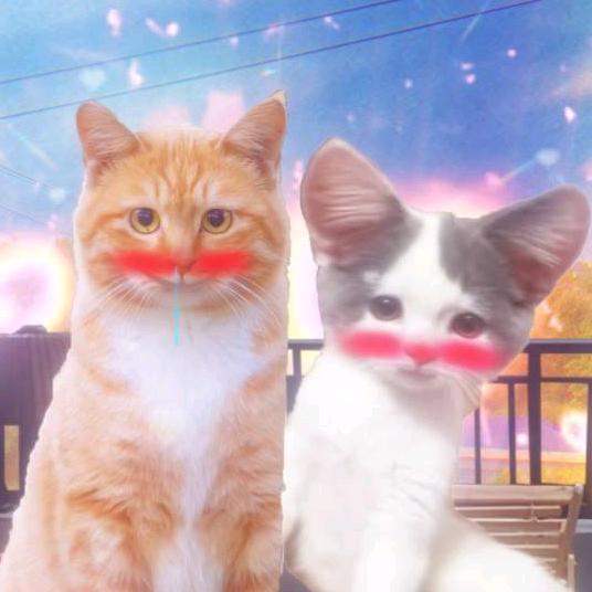 微醺修猫