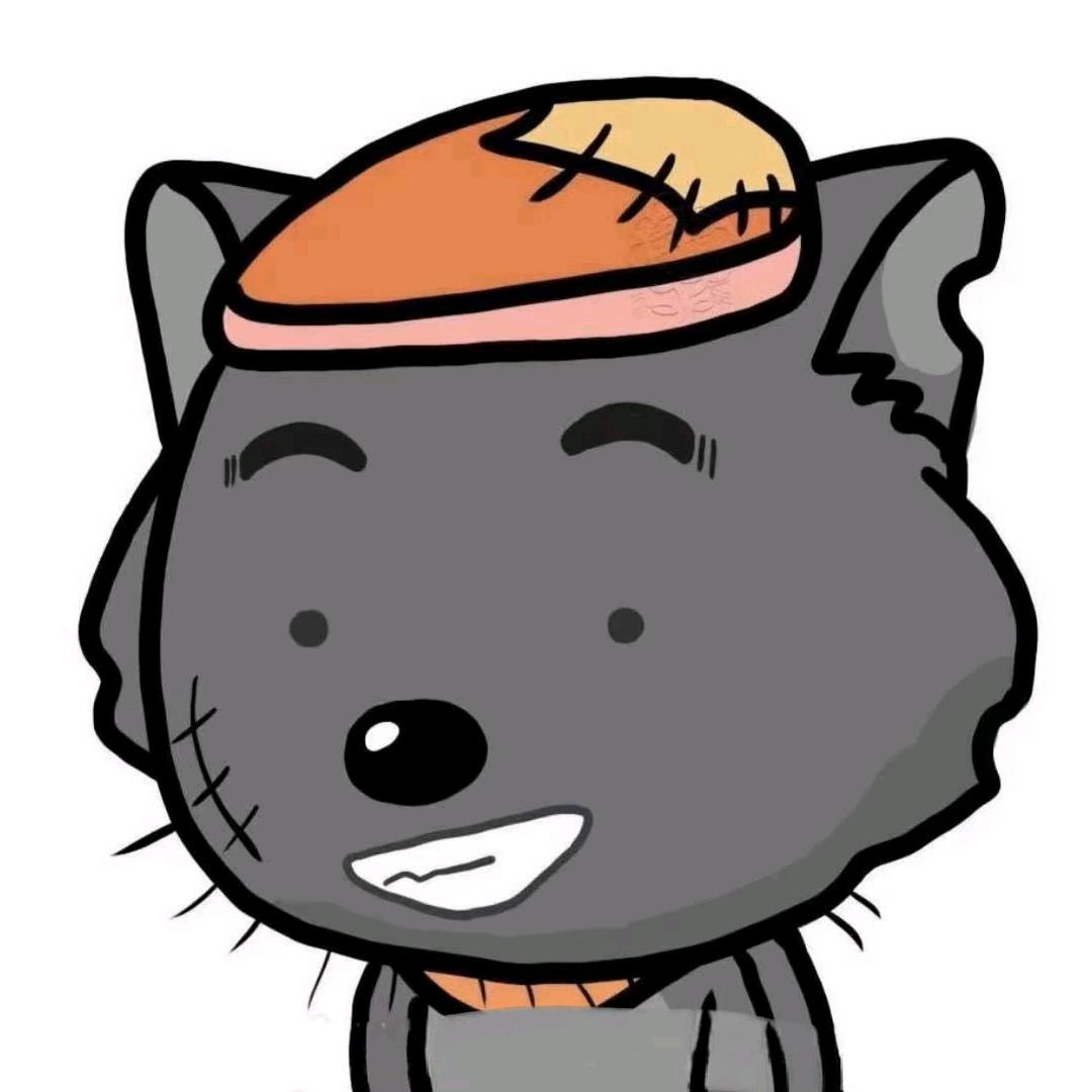 启硕大王