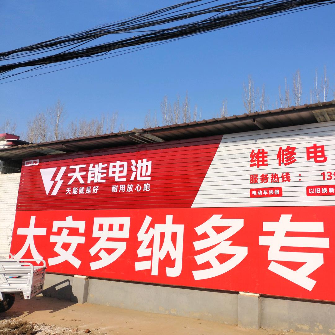 张岗大安罗纳多