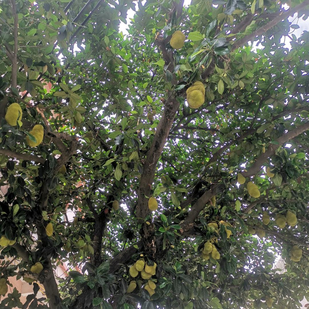 缘让我遇见你