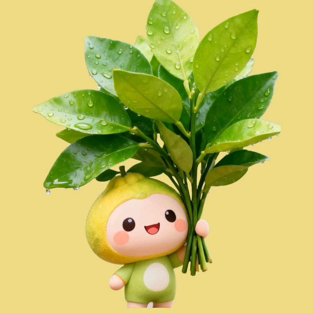 小喬