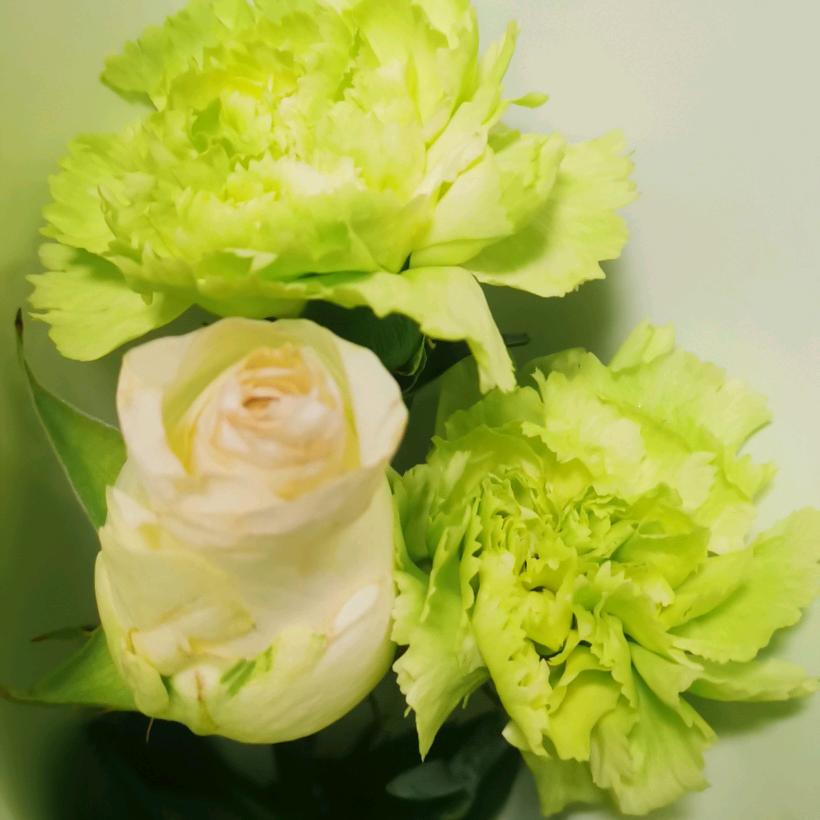 一笑而过⊙ω⊙