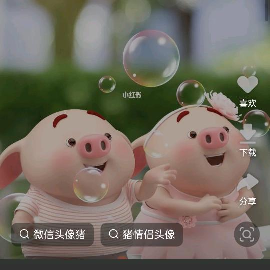 铿锵玫瑰