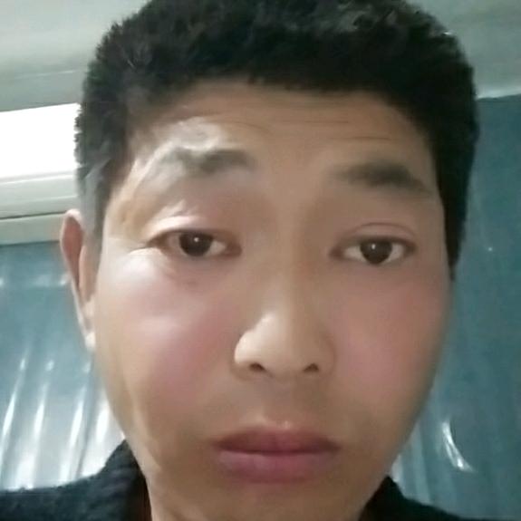 飞星似箭
