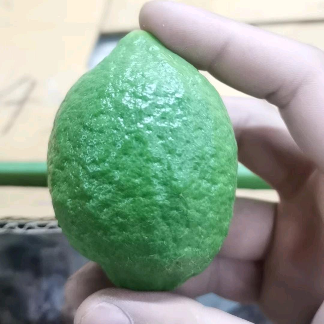 我叫啊杰-香水柠檬