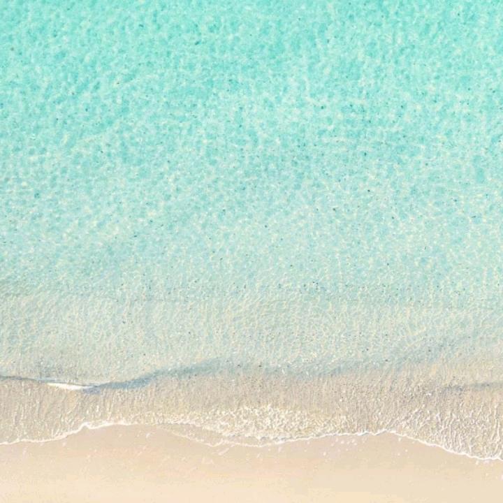 钟小霞心若向阳花自开。