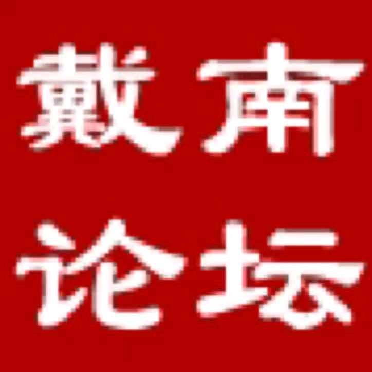 戴南论坛
