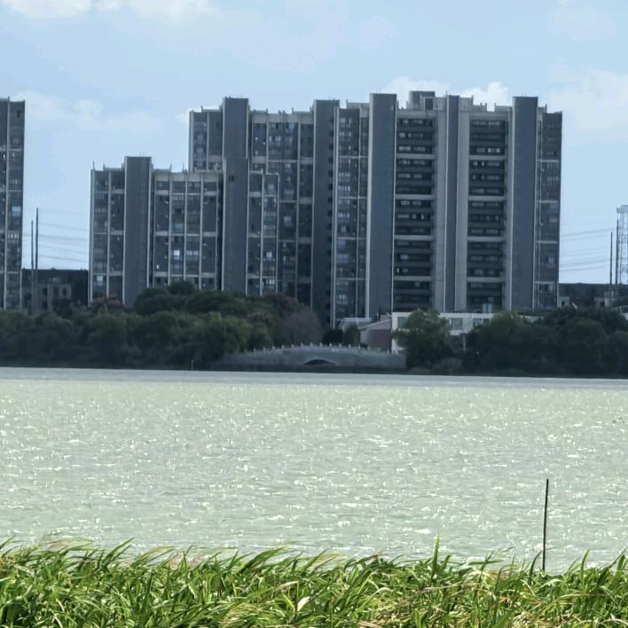 努力奋斗什么都不要想