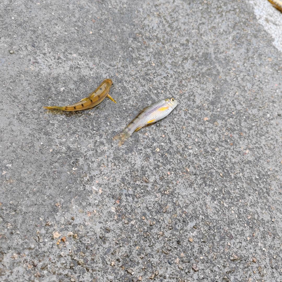 永远热爱。抖音向往。每一条视频