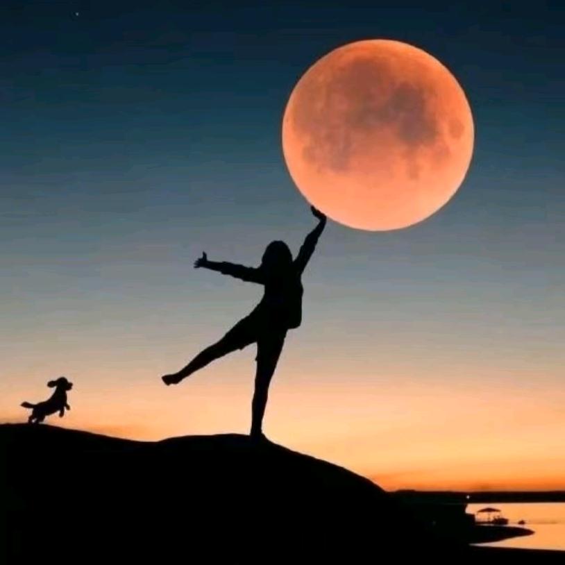 小阿香👩‍❤‍💋‍👨