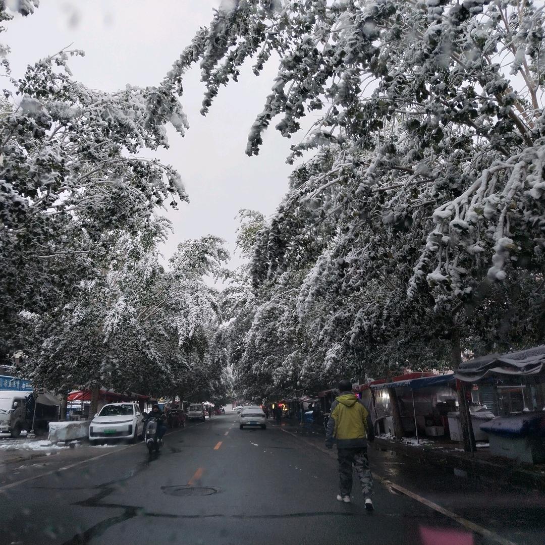 巡山等月看风雪头像