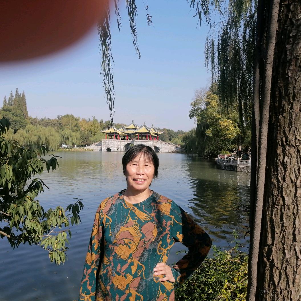 玉兰珍珠
