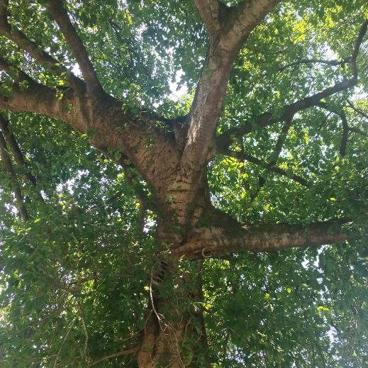 @ོོ✿࿐এ᭄余生安好ོꦿృ༊: 🚬এ