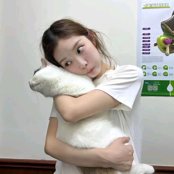 O泡O泡茶