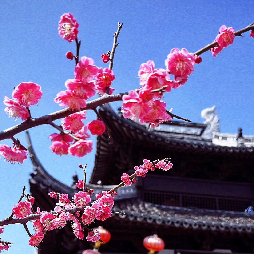 记录生活头像