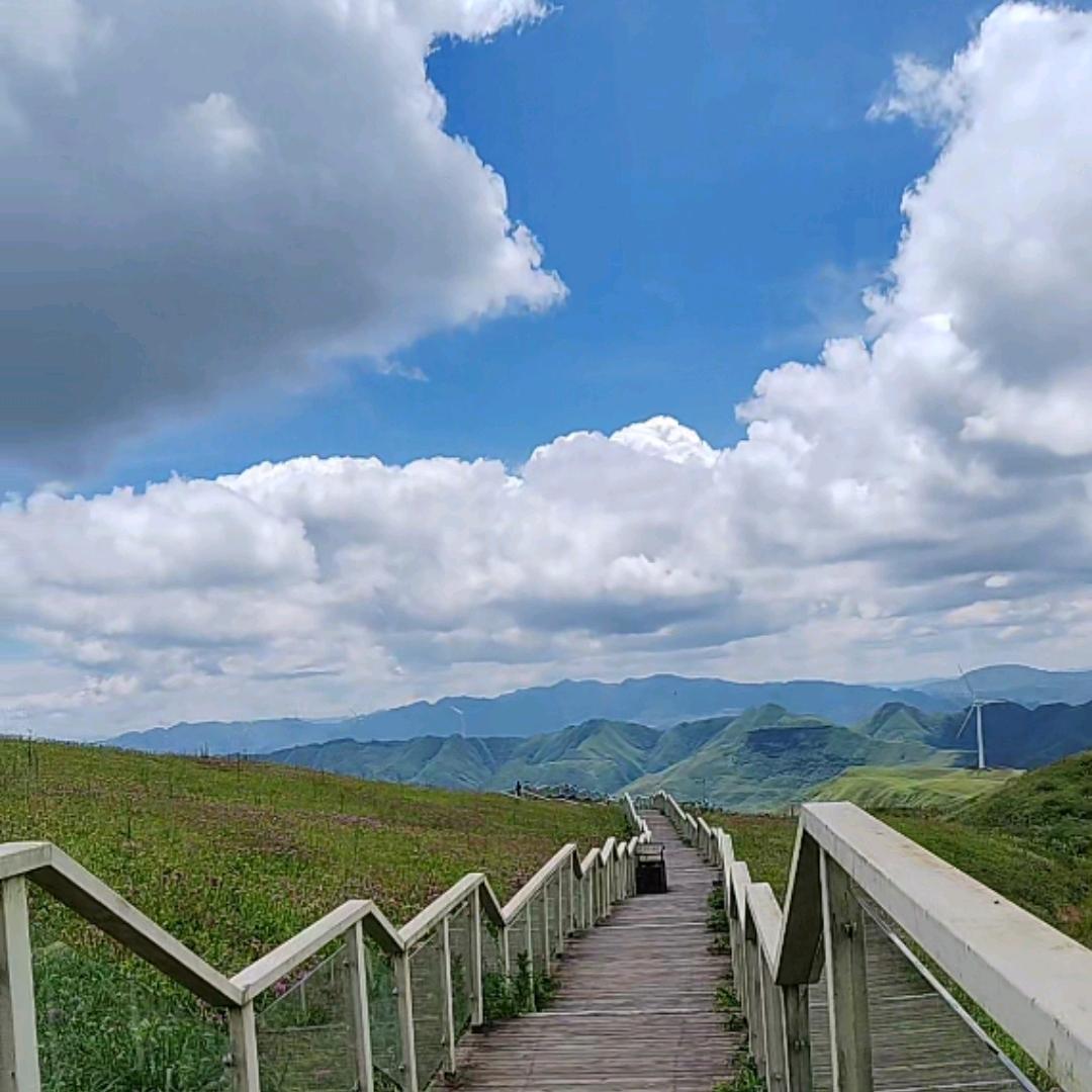 再吃就胖