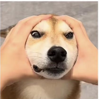 。！