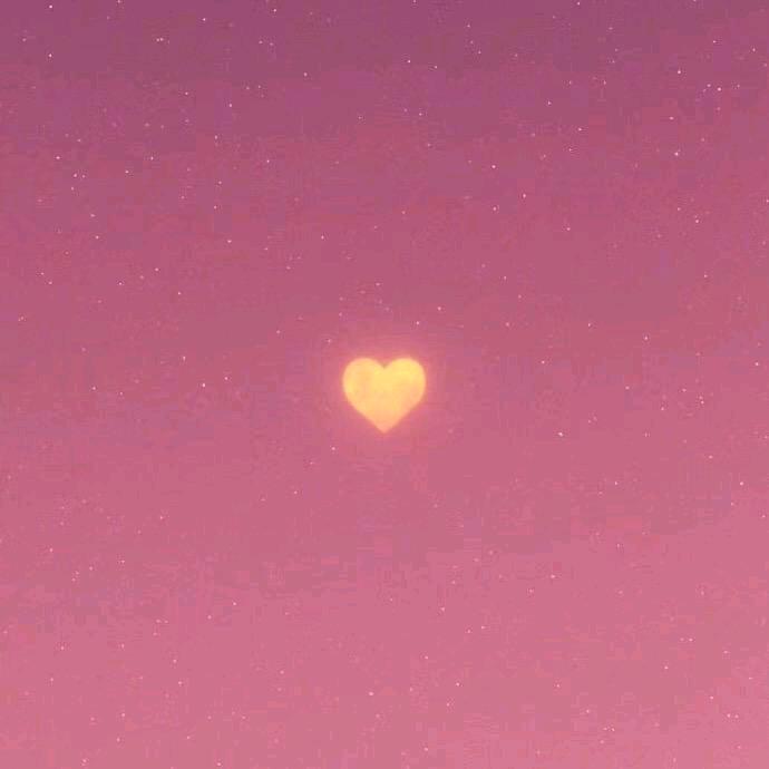 翊笑先生·HaLcyon