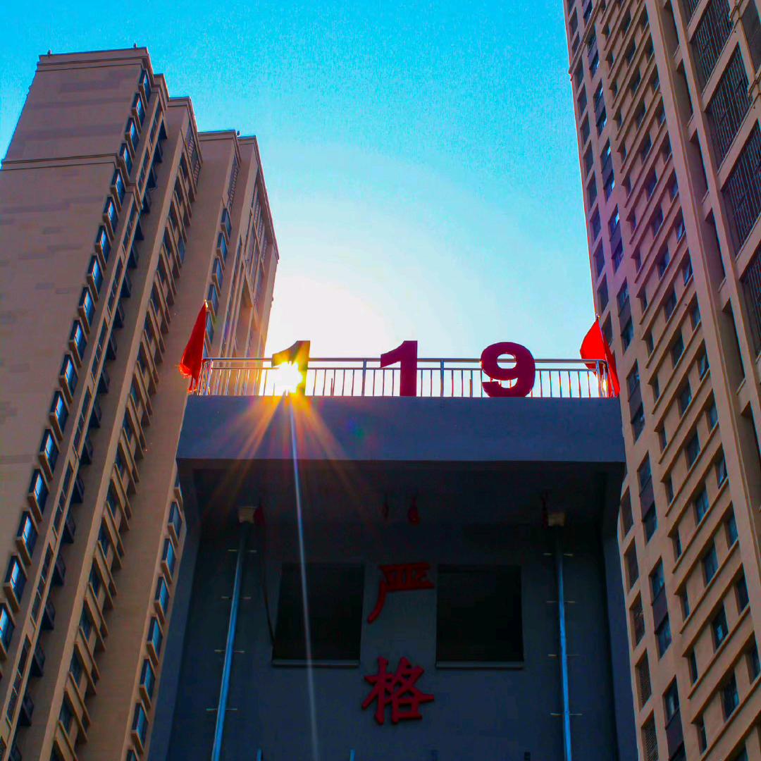 金小羊失棉了ฅ