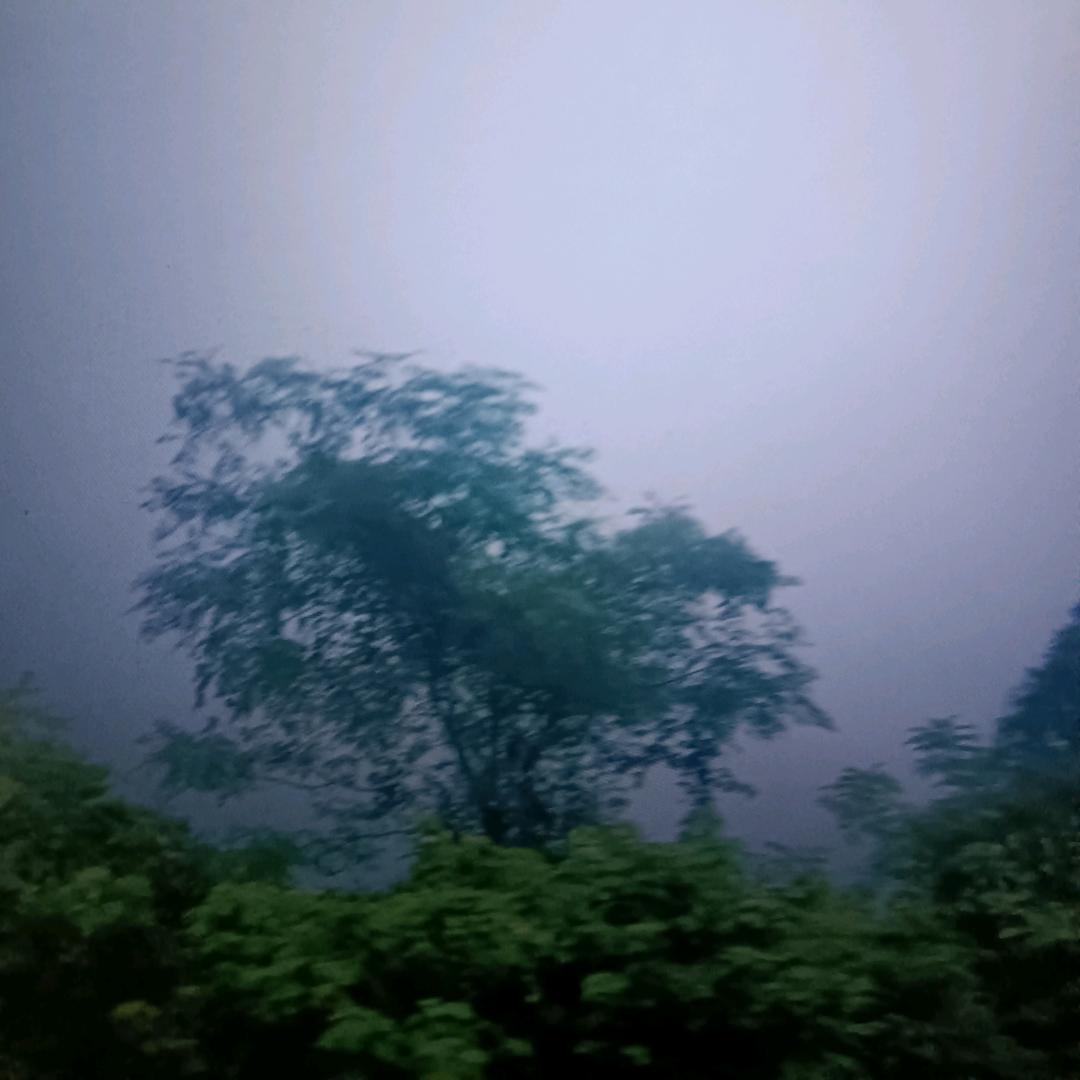 @@冷温柔