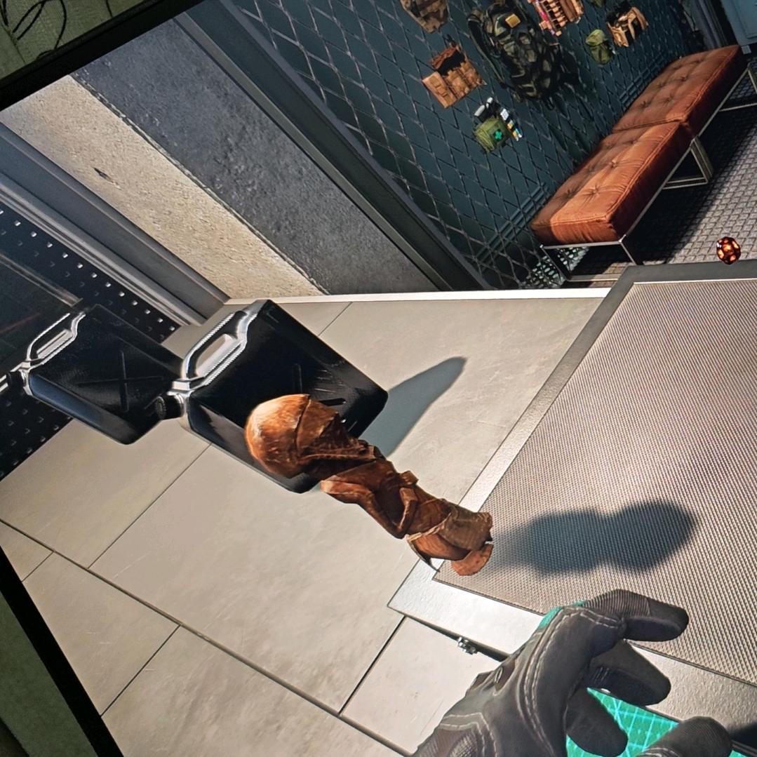 白天不睡觉（三角洲）