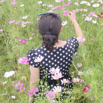 芳琳姐