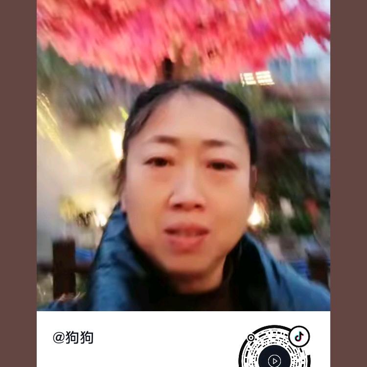 狗狗
