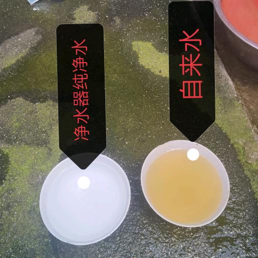 巴马弘扬净水设备（净水哥）