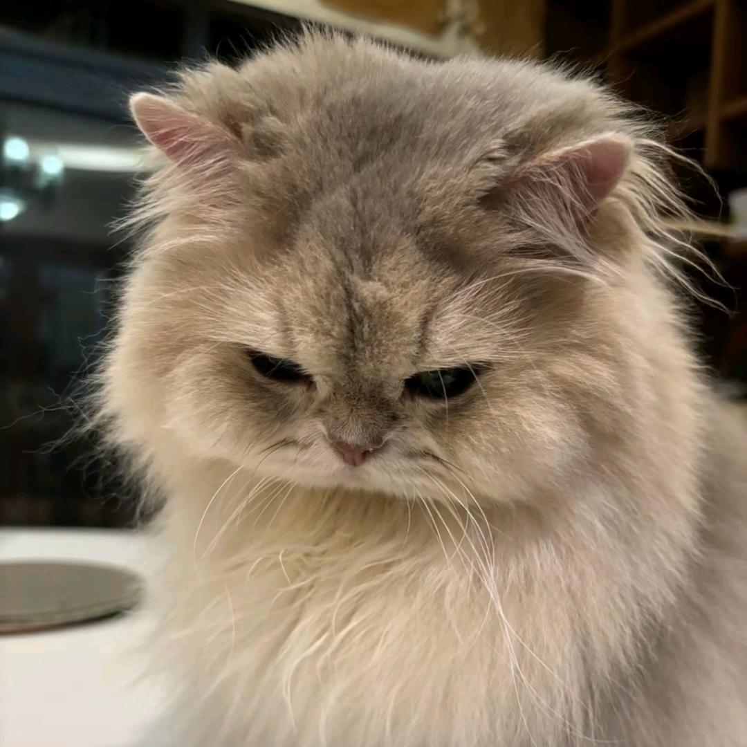 Zzzz