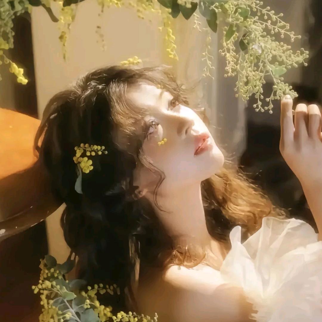 笨蛋娜૮₍ •᎔•₎ა