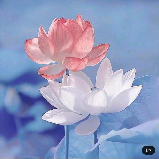 梦醒时分