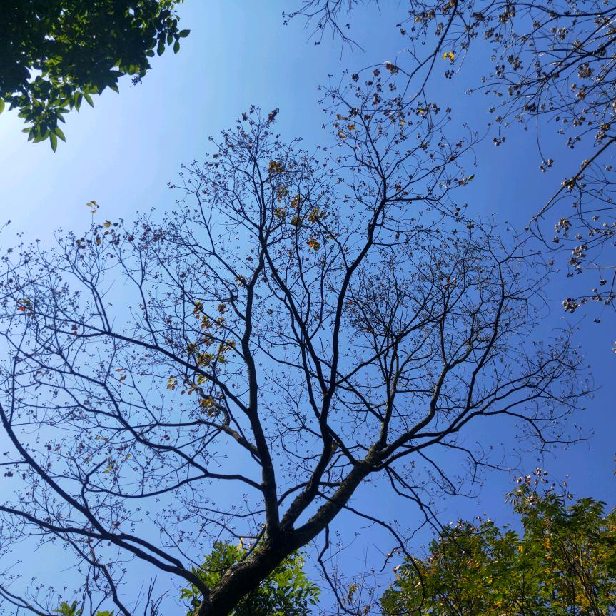记住