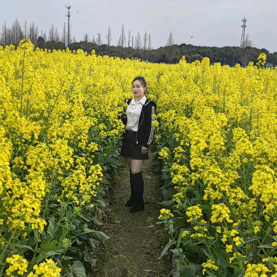 宛若晴空