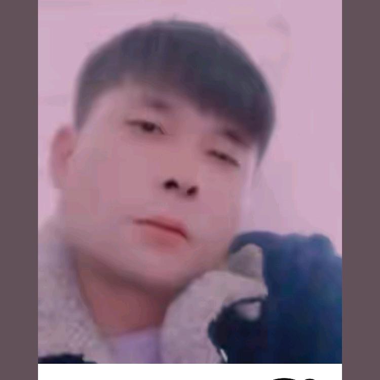 杨龙