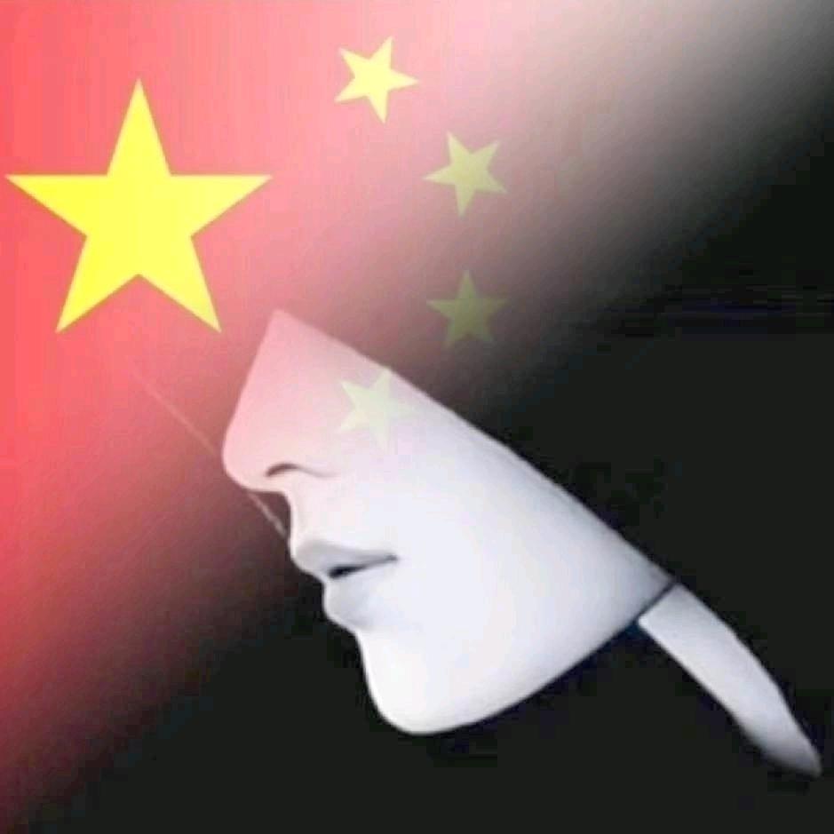 酒拾玖（三角洲行动）