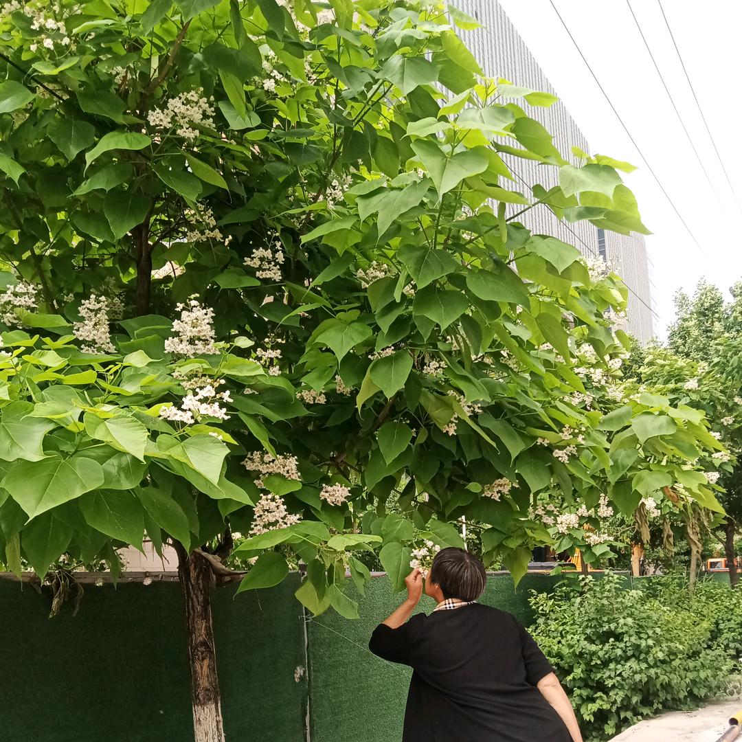 高兴的髙👩‍⚕️