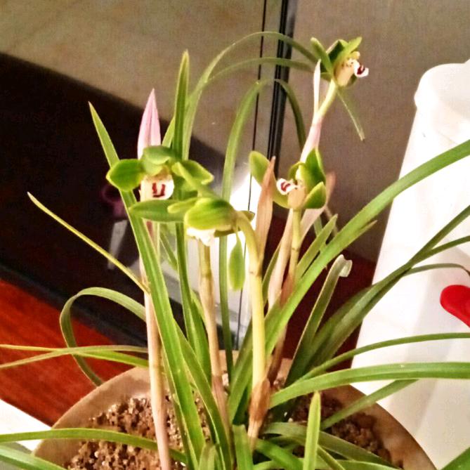 【不想蒋道理】🇨🇳