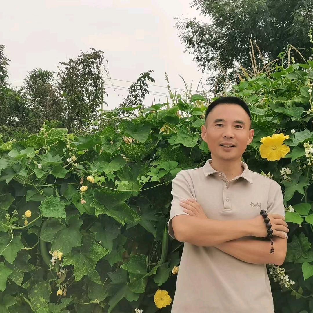 薰伊草（停播学习中）