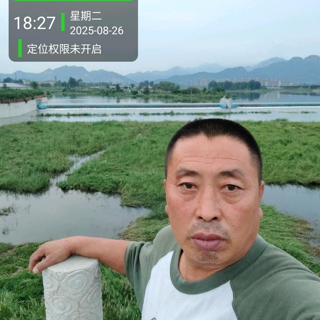 龍游四海