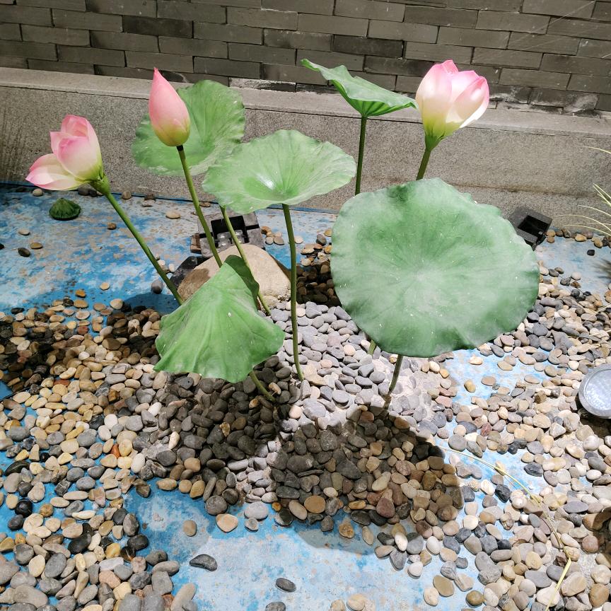 云朵
