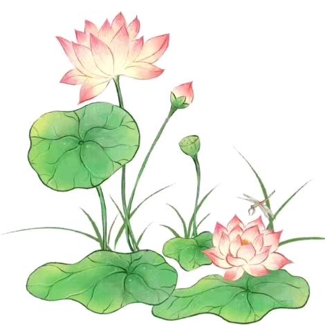 上善若水99