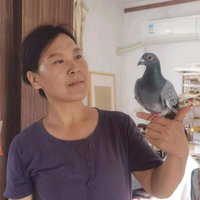 乡村孟姐