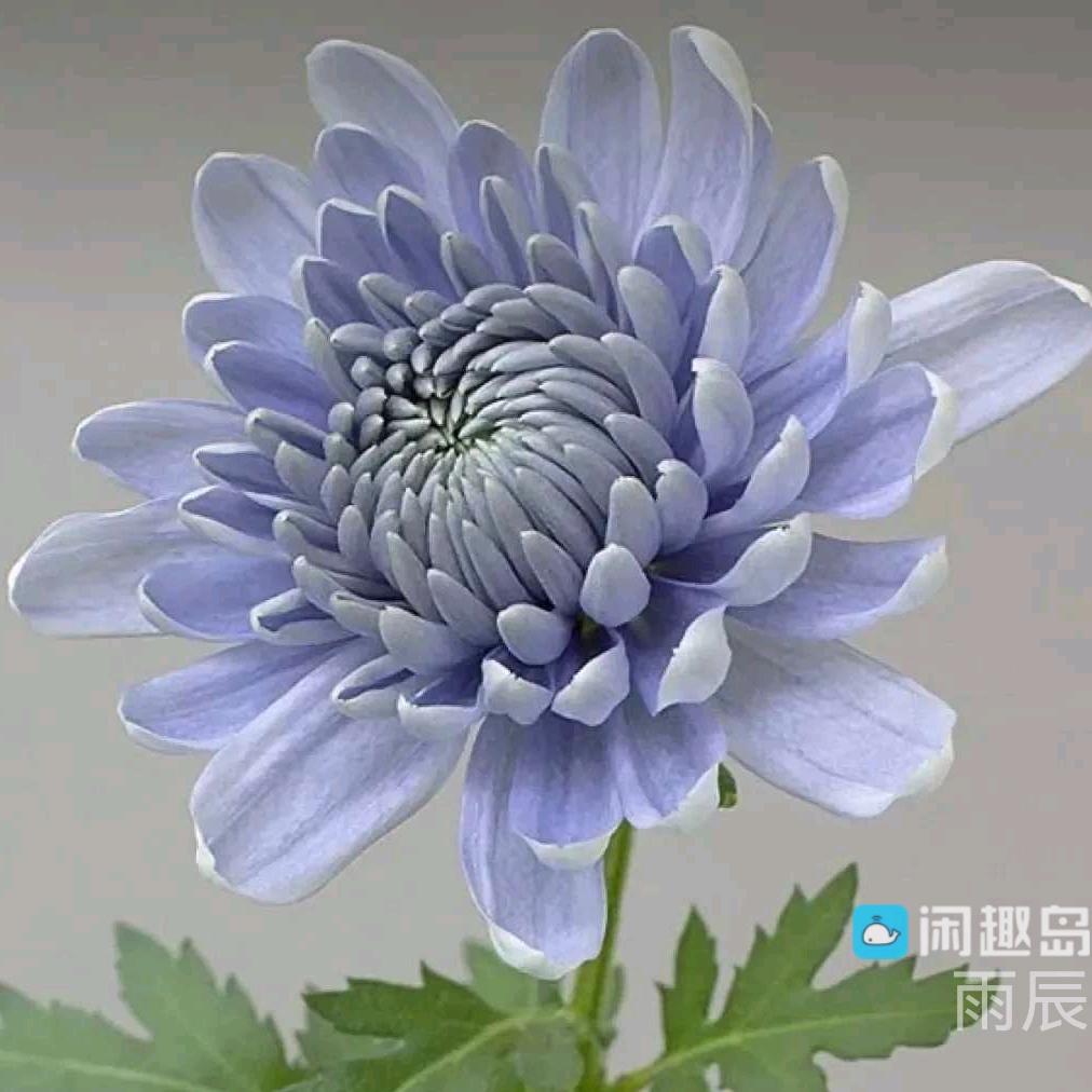 一切随缘就好